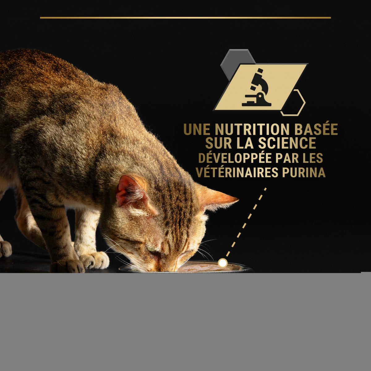 Pro Plan Longevis Senior en mousse au thon - pâtée chat