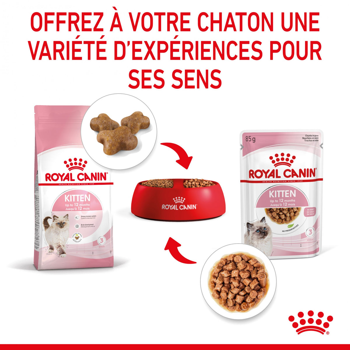 Royal Canin Kitten sauce - pâtée chaton