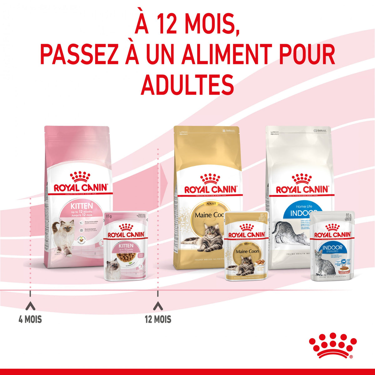 Royal Canin Kitten sauce - pâtée chaton