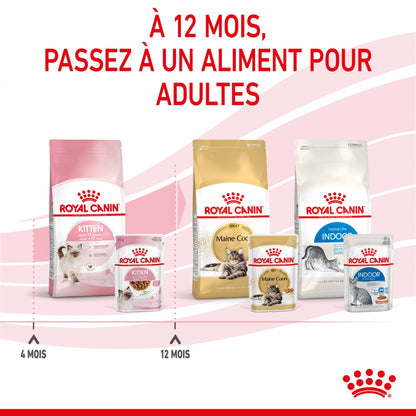 Royal Canin Kitten sauce - pâtée chaton
