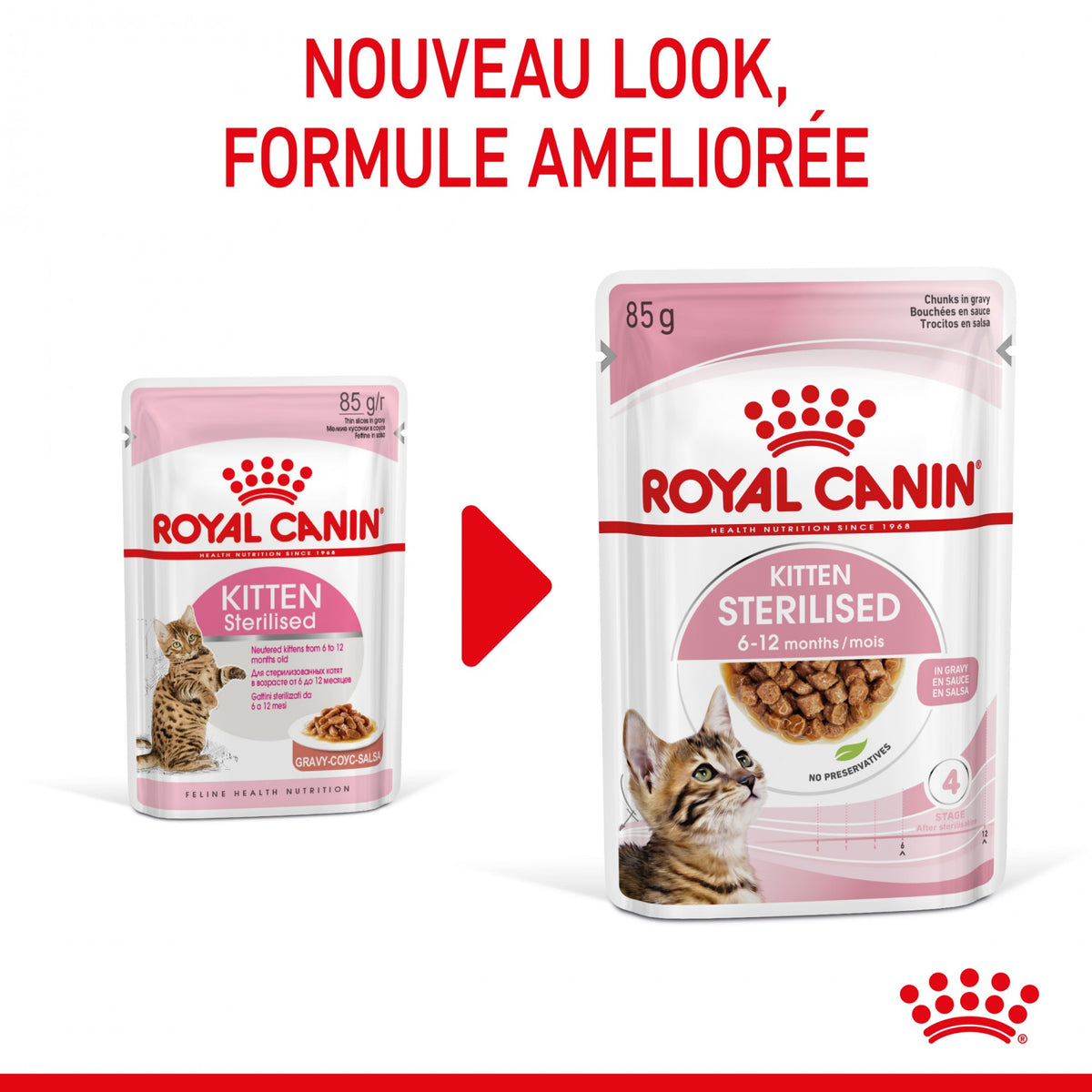 Royal Canin Kitten Sterilised gelée et sauce - pâtée chaton