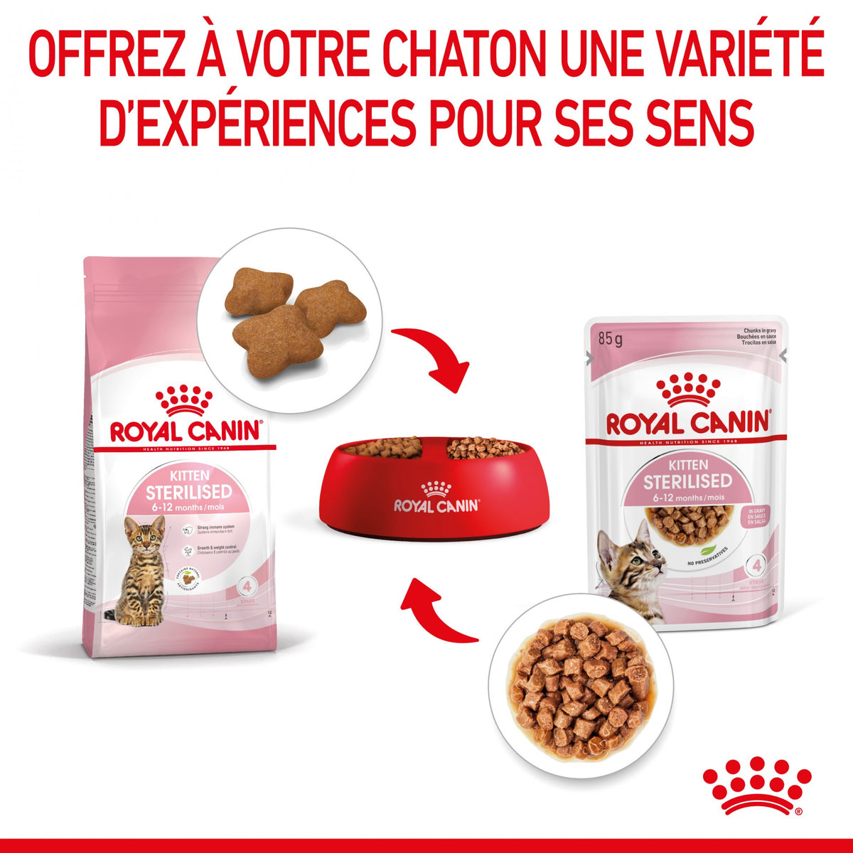 Royal Canin Kitten Sterilised gelée et sauce - pâtée chaton