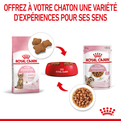 Royal Canin Kitten Sterilised gelée et sauce - pâtée chaton