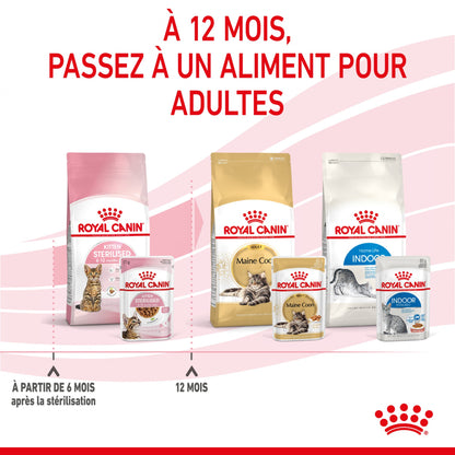 Royal Canin Kitten Sterilised gelée et sauce - pâtée chaton