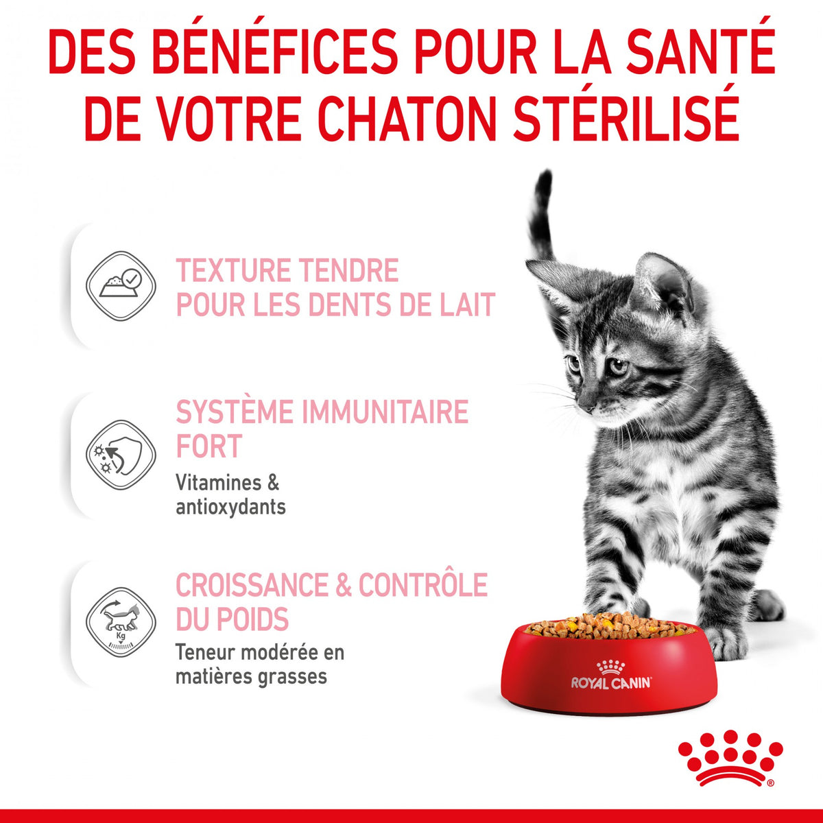 Royal Canin Kitten Sterilised gelée et sauce - pâtée chaton