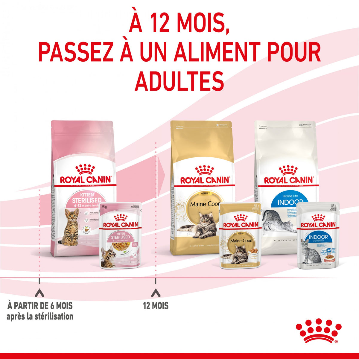 Royal Canin Kitten Sterilised gelée et sauce - pâtée chaton