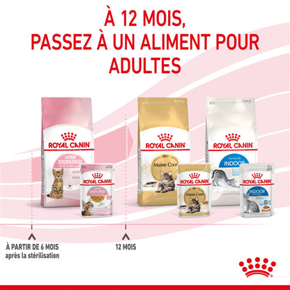 Royal Canin Kitten Sterilised gelée et sauce - pâtée chaton