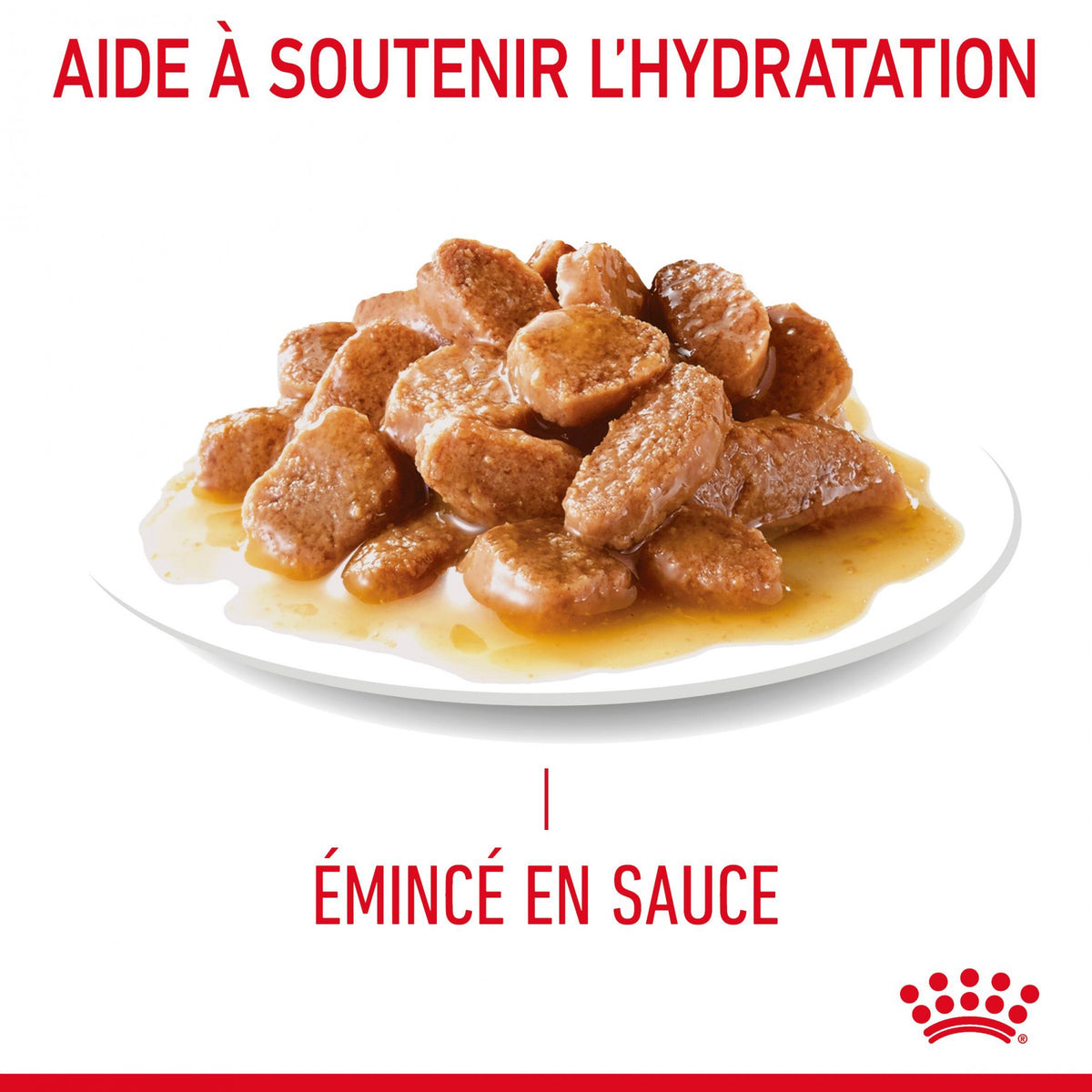 Royal Canin Light Weight Care - pâtée chat