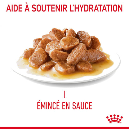 Royal Canin Light Weight Care - pâtée chat