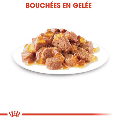 Royal Canin Instinctive - pâtée chat