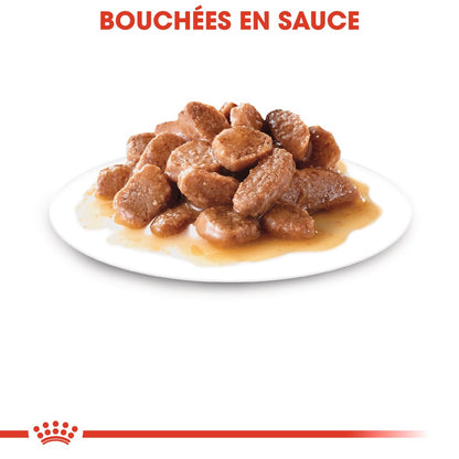Royal Canin Digest Sensitive - pâtée chat