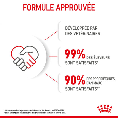 Royal Canin Kitten en Gelée - Pâtée pour chaton