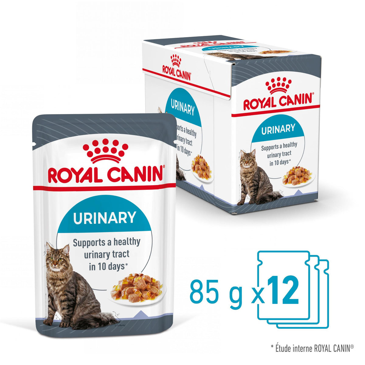Royal Canin Urinary Care en gelée – pâtée chat