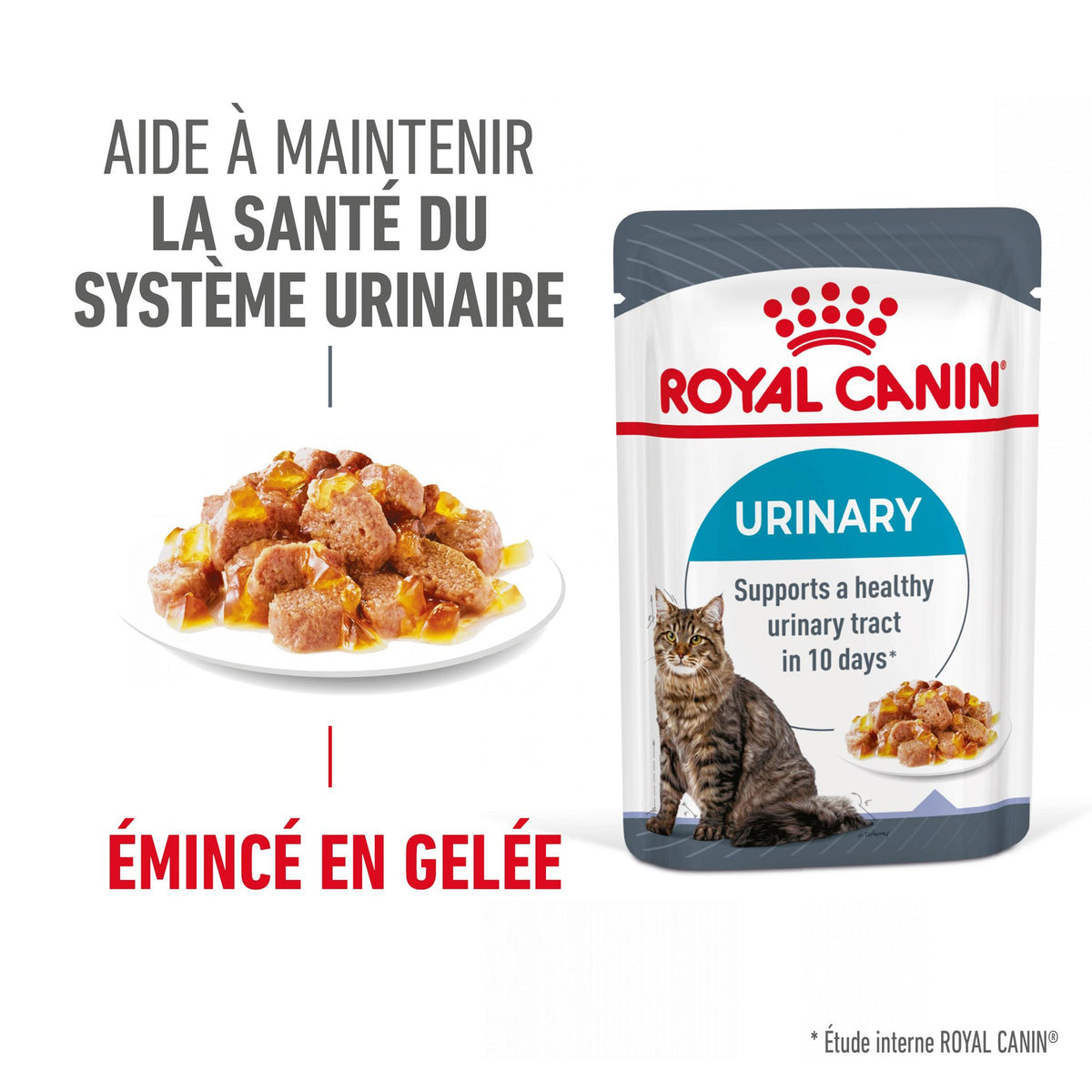 Royal Canin Urinary Care en gelée – pâtée chat
