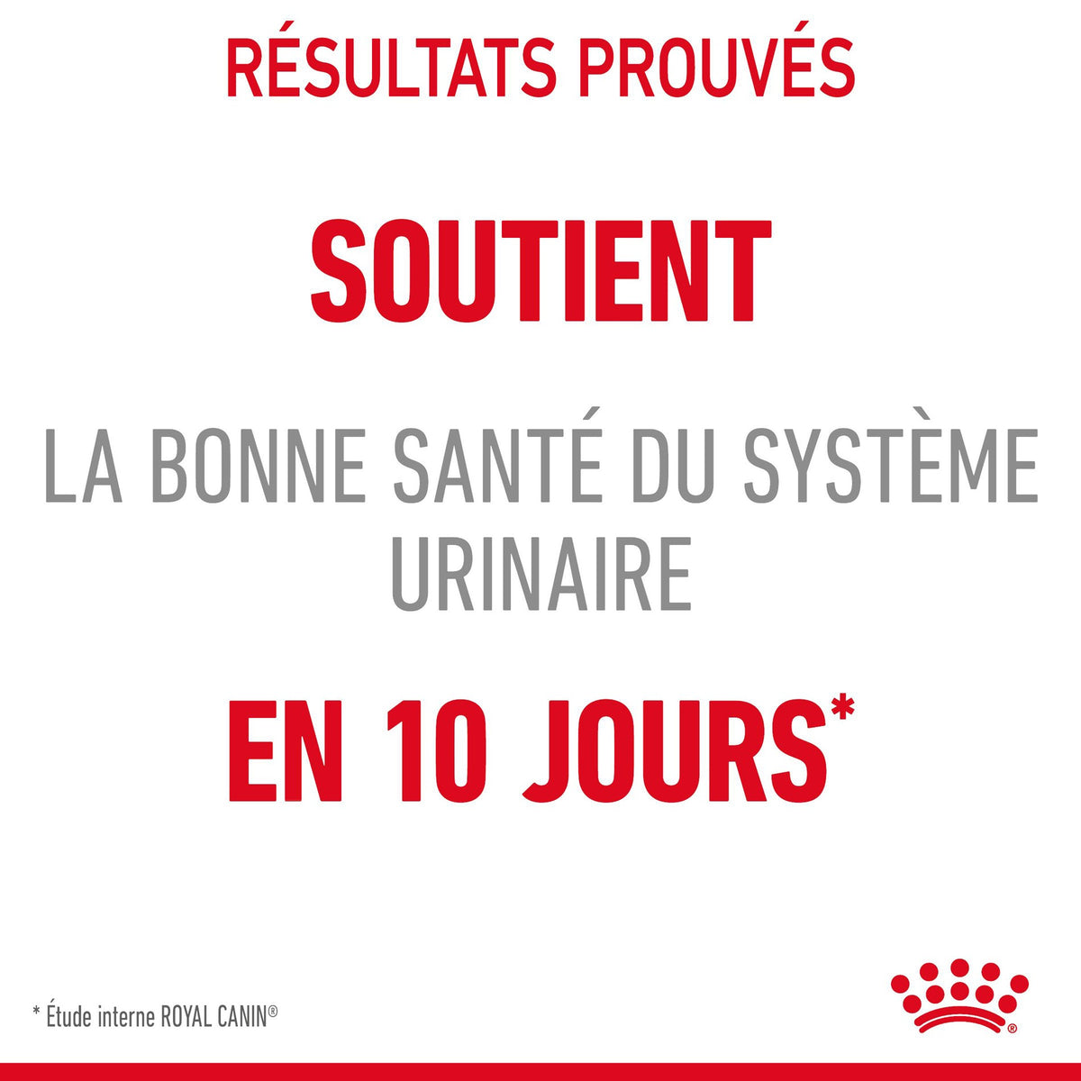 Royal Canin Urinary Care en gelée – pâtée chat