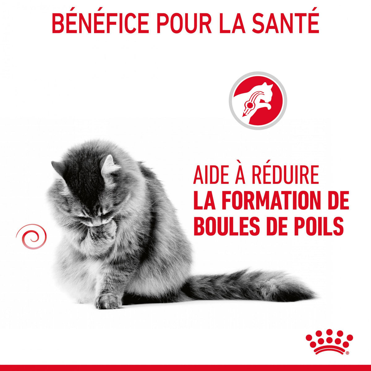 Royal Canin Hairball Care - pâtée chat