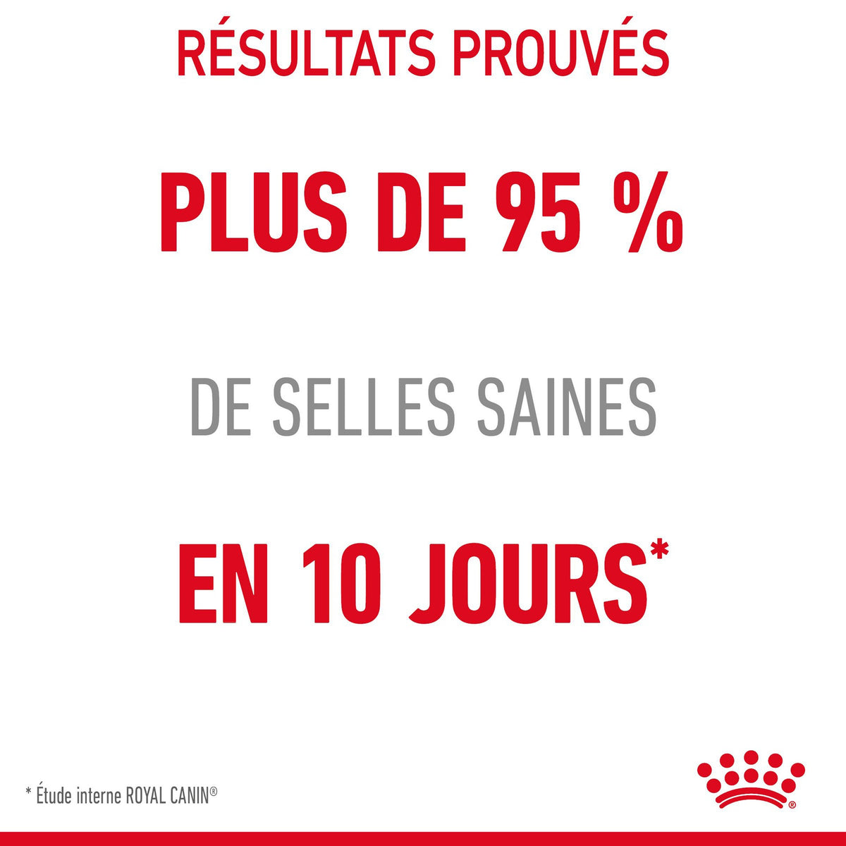Royal Canin Digestive Care en mousse - pâtée chat