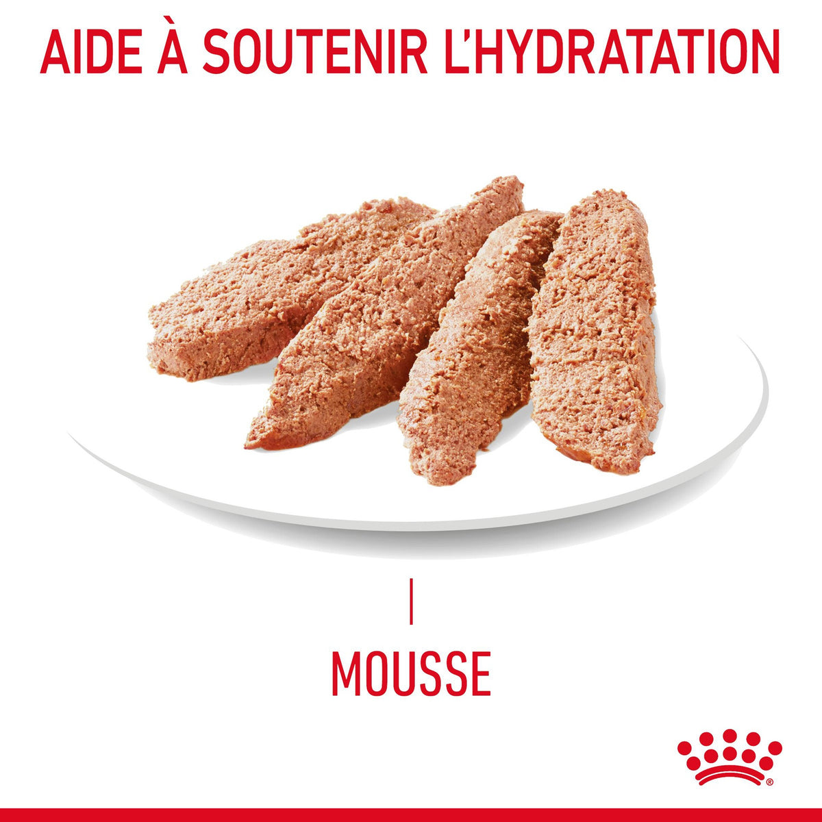 Royal Canin Digestive Care en mousse - pâtée chat