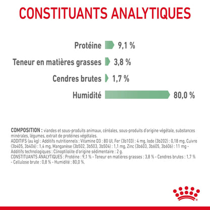 Royal Canin Digestive Care en mousse - pâtée chat