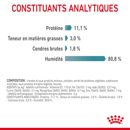 Royal Canin Hairball Care en gelée – pâtée chat