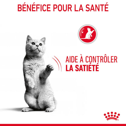 Royal Canin Appetite Control Care en sauce - pâtée chat
