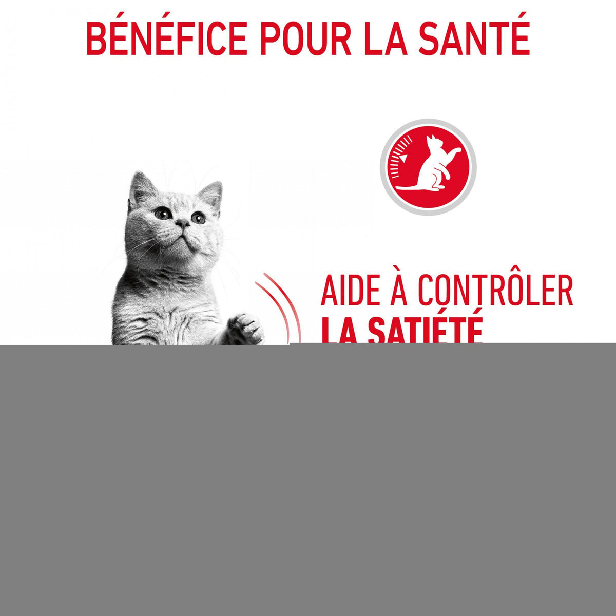 Royal Canin Appetite Control en gelée – pâtée chat