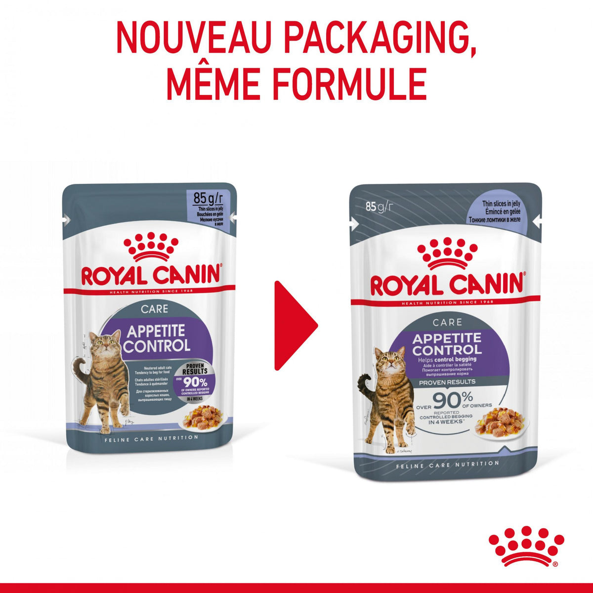 Royal Canin Appetite Control en gelée – pâtée chat