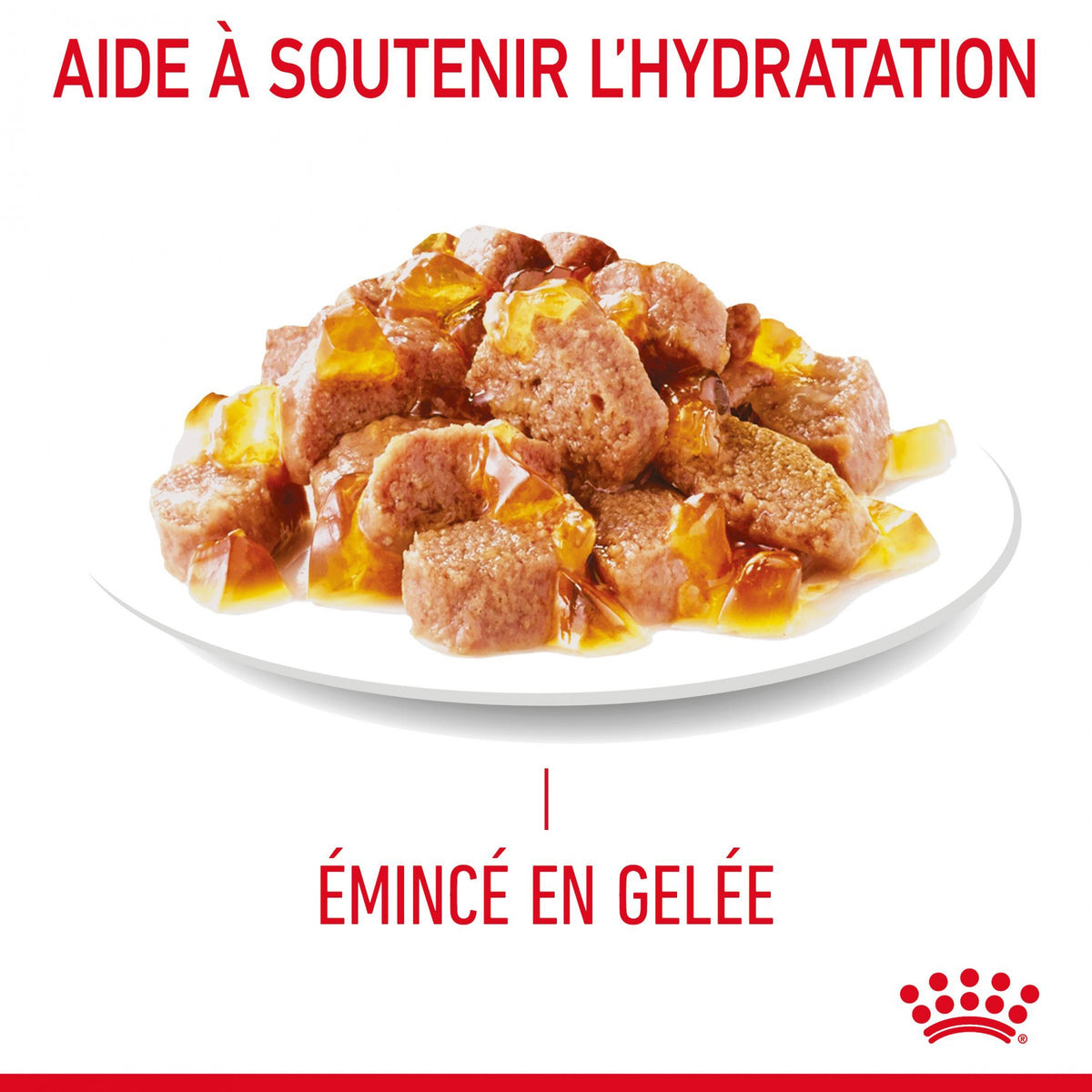 Royal Canin Appetite Control en gelée – pâtée chat