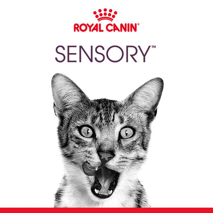 Royal Canin Sensory Feel
