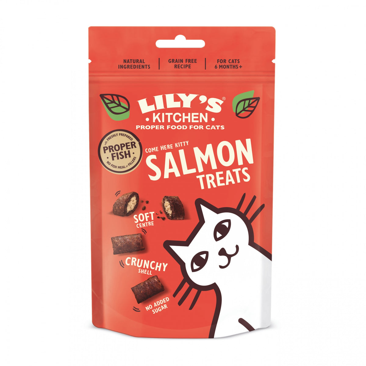 Salmon Treats chat
