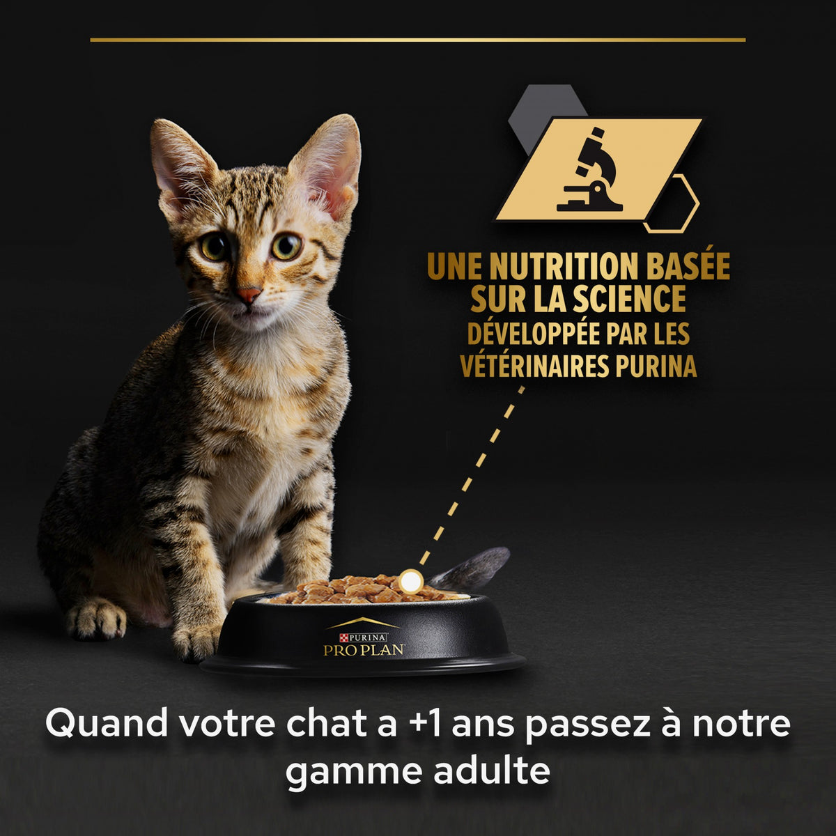 Pro Plan Healthy Start Baby Kitten en mousse au poulet - pâtée chaton