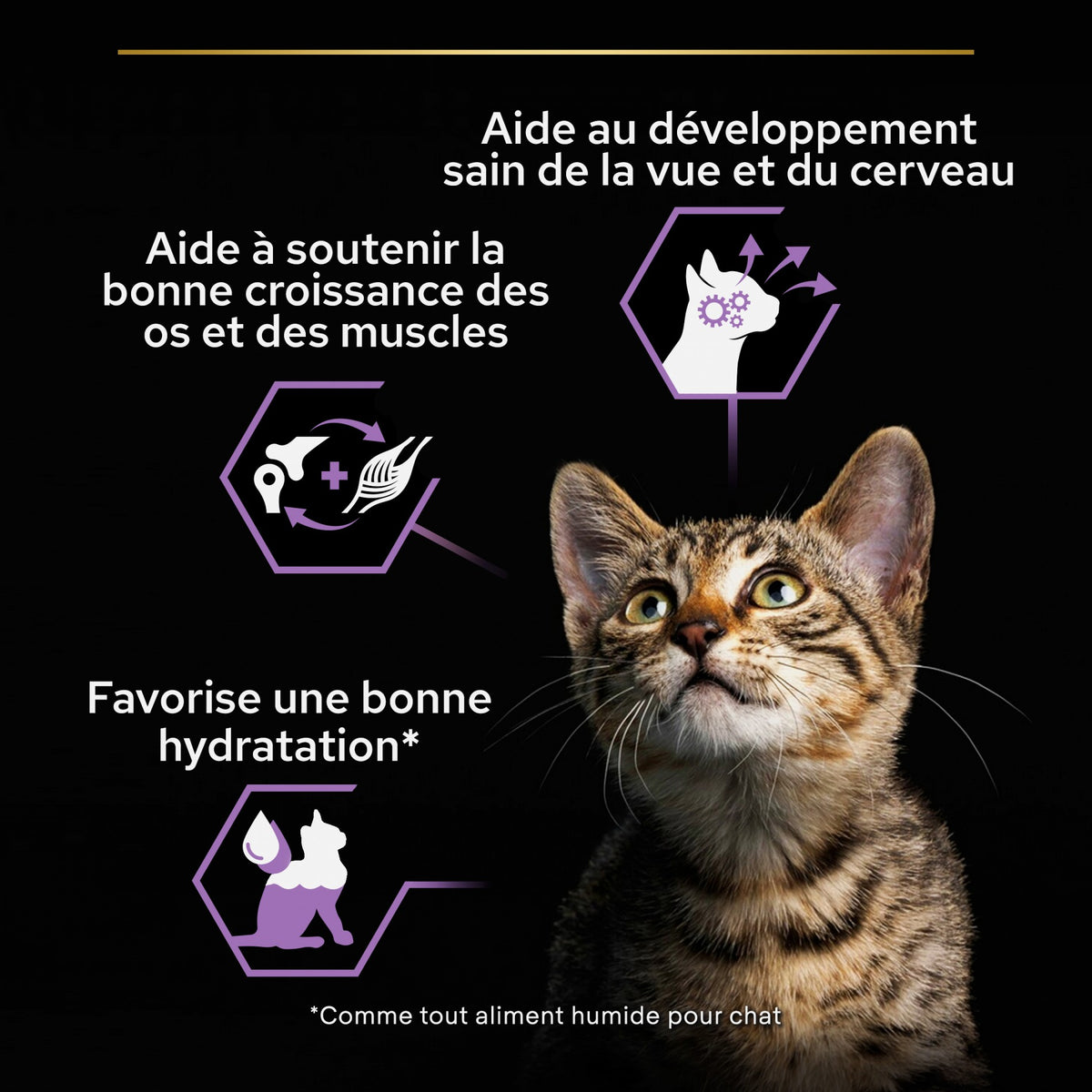 Pro Plan Healthy Start Baby Kitten en mousse au poulet - pâtée chaton
