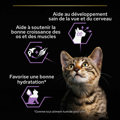 Pro Plan Healthy Start Baby Kitten en mousse au poulet - pâtée chaton