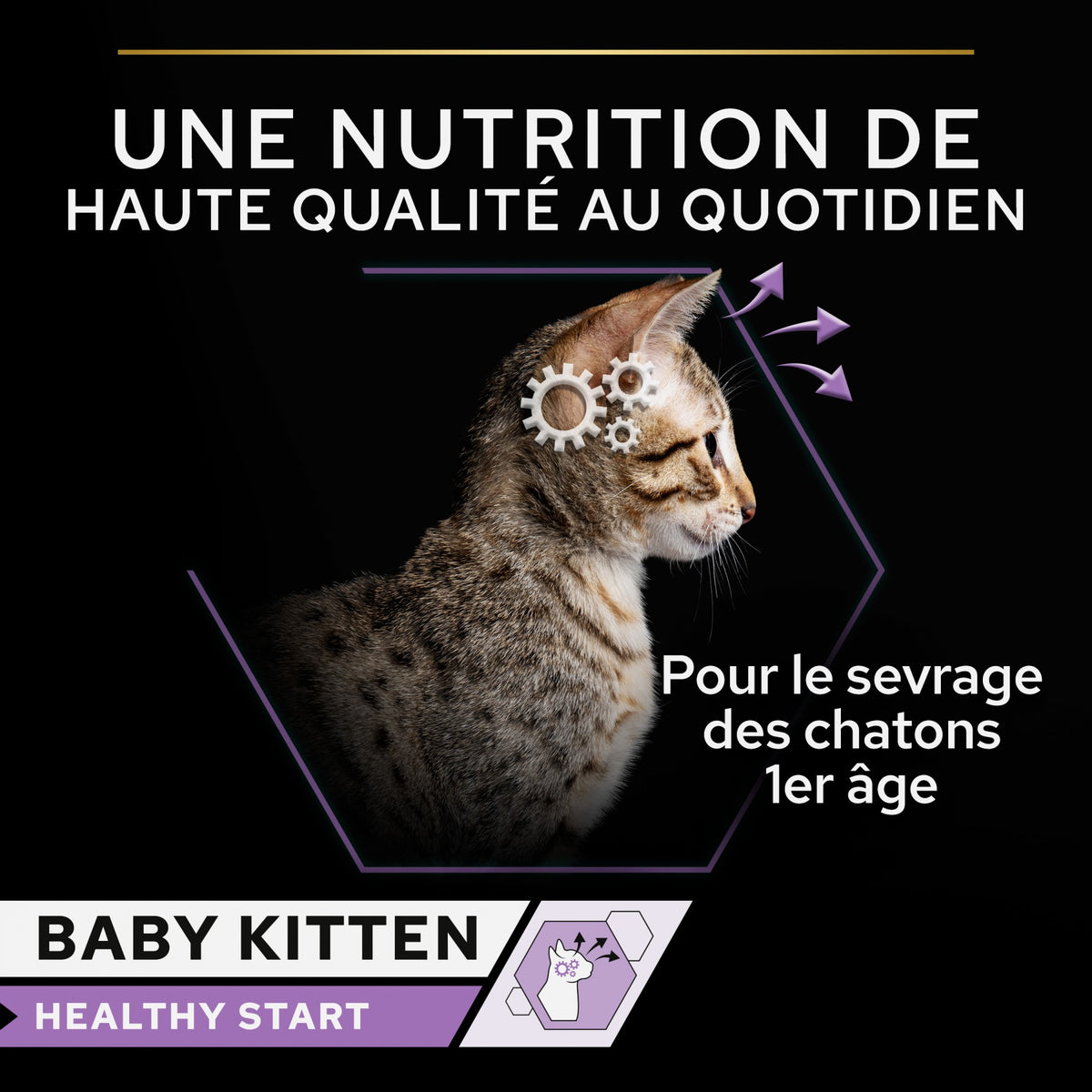 Pro Plan Healthy Start Baby Kitten en mousse au poulet - pâtée chaton