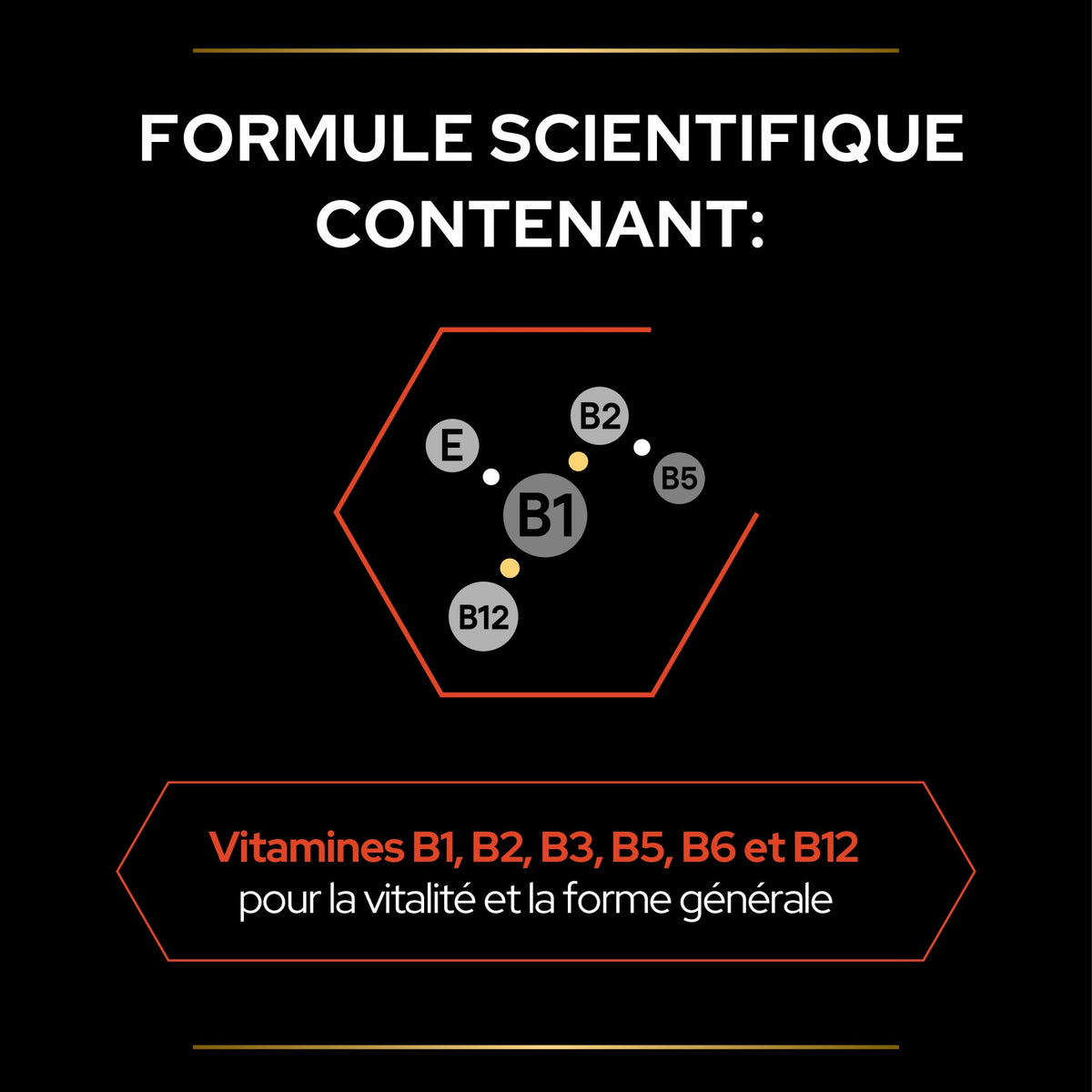 PRO PLAN Multi Vitamins+ en poudre - Aliment complémentaire pour chat