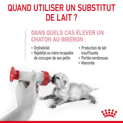 Royal Canin Babycat Milk - lait maternisé chaton