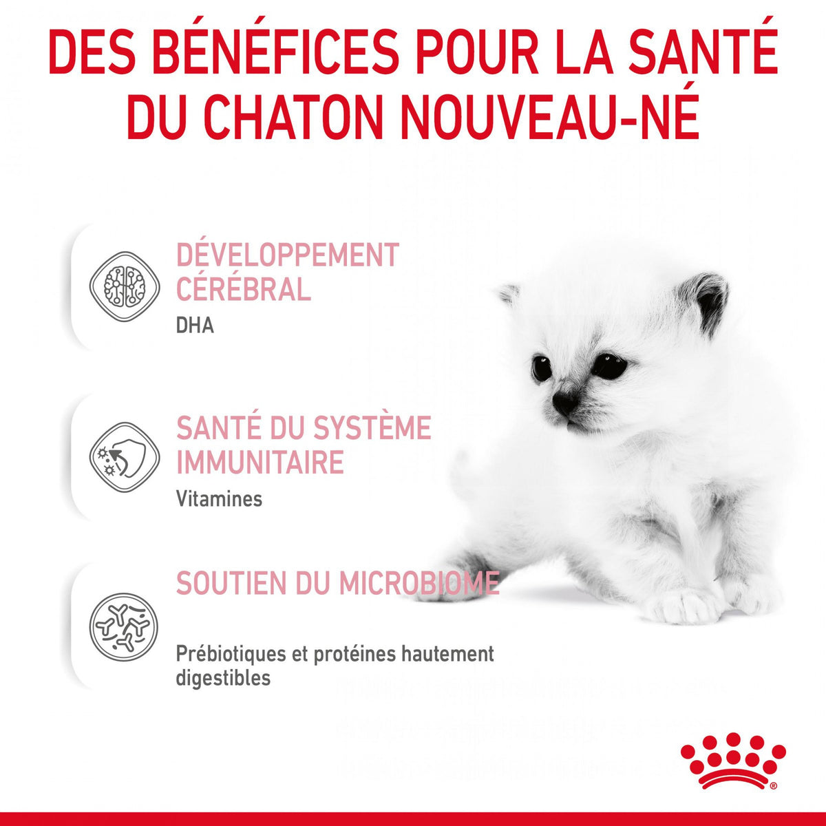 Royal Canin Babycat Milk - lait maternisé chaton