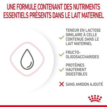 Royal Canin Babycat Milk - lait maternisé chaton