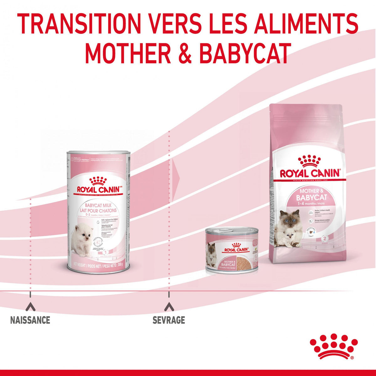 Royal Canin Babycat Milk - lait maternisé chaton
