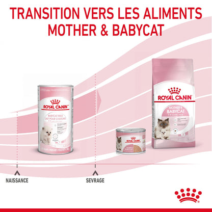 Royal Canin Babycat Milk - lait maternisé chaton