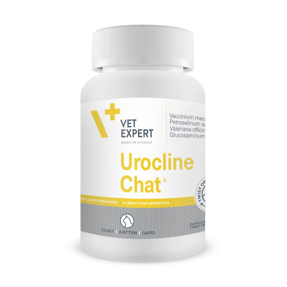 Urocline Chat