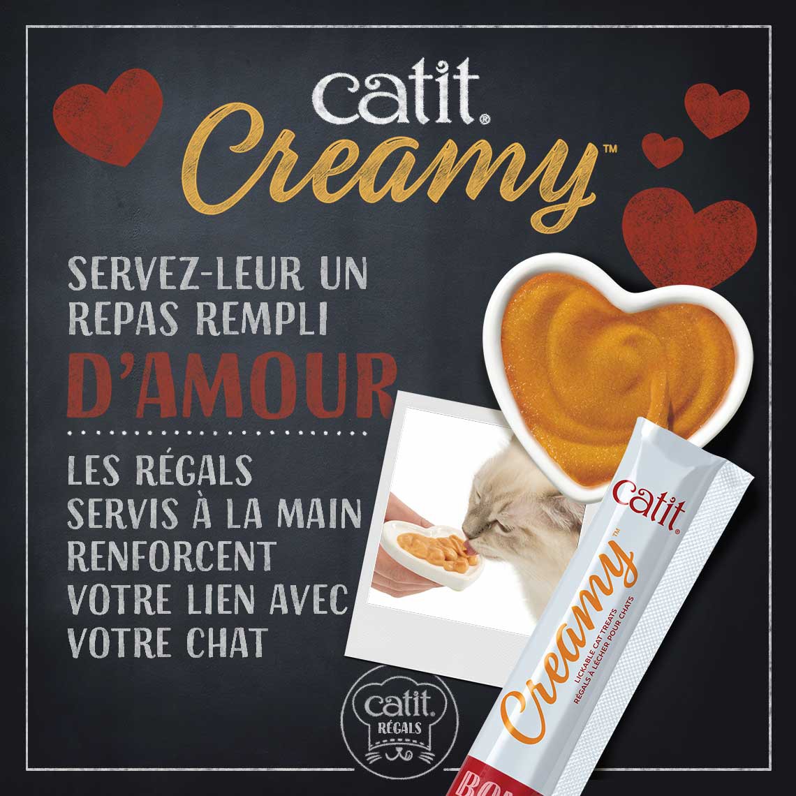 Creamy chat