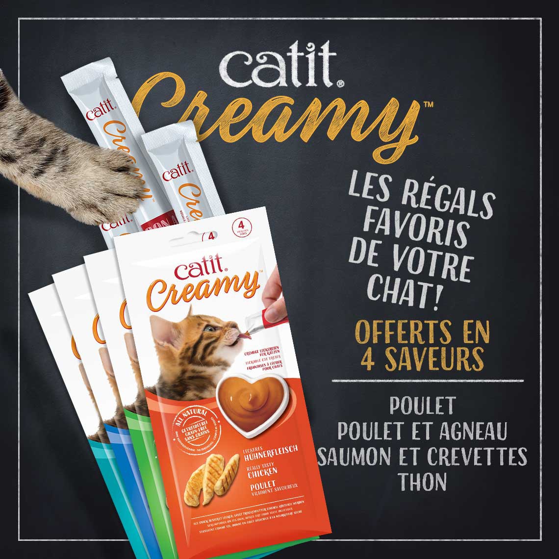 Creamy chat