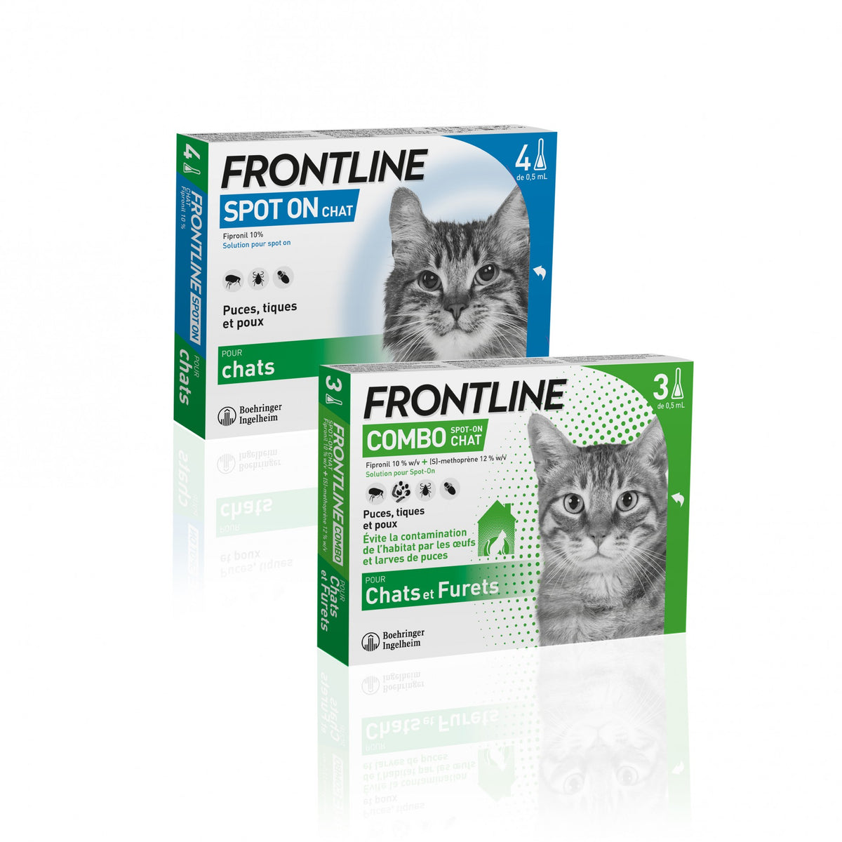 Pipettes Frontline Spot-On chat