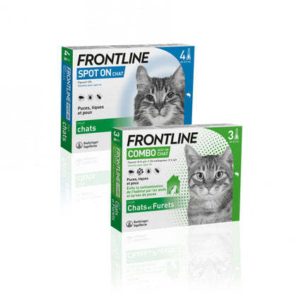 Frontline Combo chat