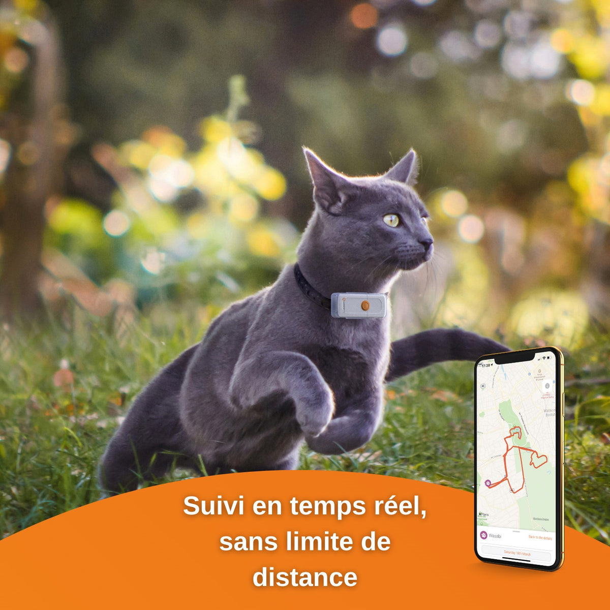 Traceur GPS Cats 2 chat