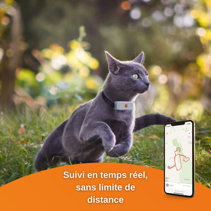 Traceur GPS Cats 2 chat