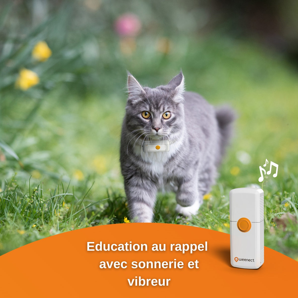 Traceur GPS Cats 2 chat