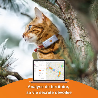 Traceur GPS Cats 2 chat