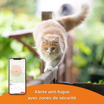 Traceur GPS Cats 2 chat